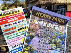 -HERRE·FARM 赫尔露营农场·团建聚会包场