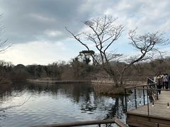 -济州森林小火车生态公园