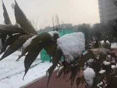 -迎泽公园