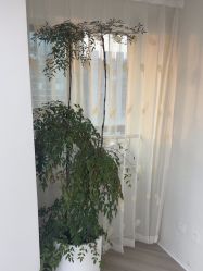 -HEYAN荷妍专业脱毛连锁机构