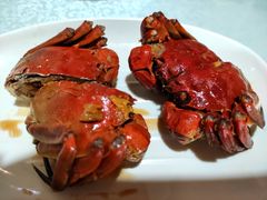 -呼吸森林·生态农庄农家乐私房菜