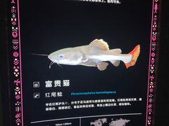 -顺德南宏海立方海洋公园