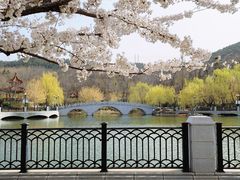 -大连植物园