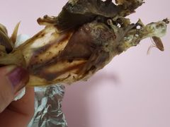 -高家烧鸽子烧烤店63年