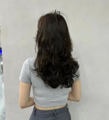 -藤野造型