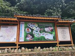 -龙颈河漂流