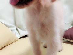 -沐沐家宠物(成寿寺店)