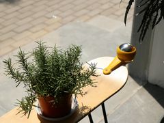 -red donkey coffee