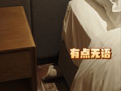 -上海佘山茂御臻品之选酒店(原佘山艾美酒店)