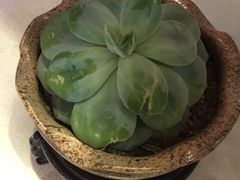 -杭州龙禧福朋喜来登酒店