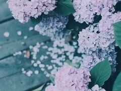 -酸喜·三度酸·贵州味