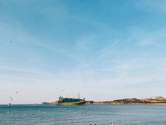 -海驴岛(荣成市)