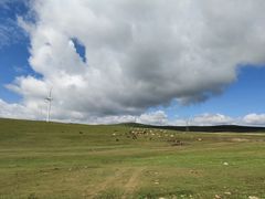 -塞罕坝国家级自然保护区