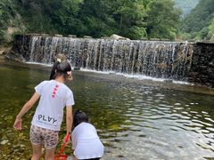 -牛背梁国家森林公园