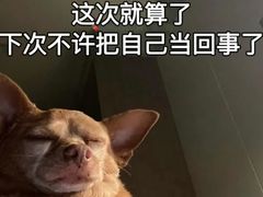 -鲍师傅糕点(西站店)