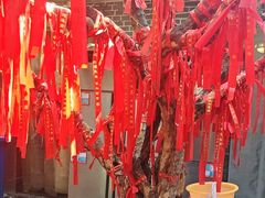 -董立兵烤鸭店(明湖店)