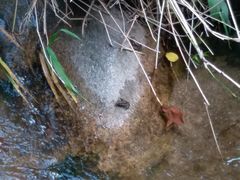 -碓臼峪自然风景区