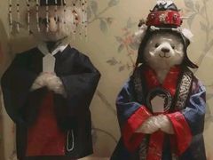 -济州岛泰迪熊博物馆