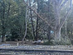 -普芬比利蒸汽火车