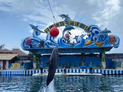 -海南分界洲岛旅游区