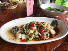 -顺德了能馆(虎门店)