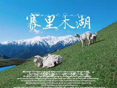 -赛里木湖风景名胜区