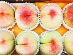 -老袁家蜜桃农场·阳山水蜜桃