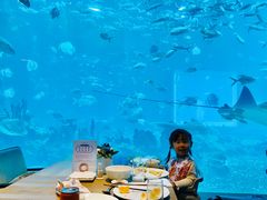 -海棠湾洲际-涛·海底餐厅·美人鱼·自助餐·海底隧道