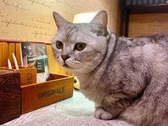 -隅cafe(傅厚岗店)