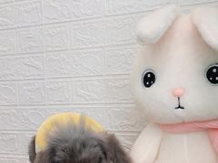 -雨林宠物医院 非犬猫异宠专科