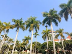 -厦门大学(思明校区)