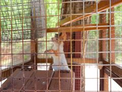 -桑干河大峡谷旅游区