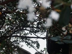 -初溪土楼群