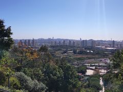 -青礁慈济宫