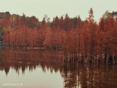 -白鹭湾湿地公园