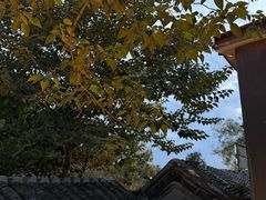 -糖房咖啡(南锣鼓巷店)