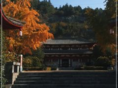 -徐州汉画像石艺术馆