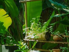 -云里小坐·小院里·团建·宴请·下午茶(三圣乡店)