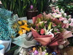 -沪花拾者(好再来花卉鲜花店)