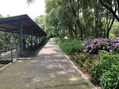 -西湖风景区-江洋畈生态公园