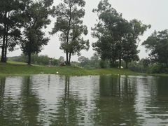 -两河城市森林公园