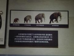-大庆市博物馆