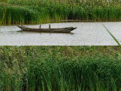-盐城丹顶鹤湿地生态旅游区
