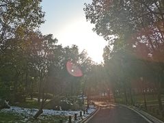 -宝界山林公园