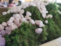 -马家斑.鲜鱼火锅(松湖万科店)