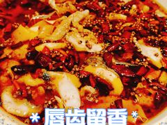 -辣不二水煮鱼(哈西店)