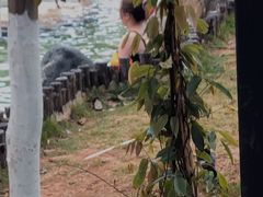 -大理地热国