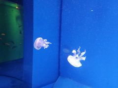 -石林冰雪海洋世界