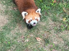 -南京金牛湖风景区