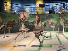 -国家自然博物馆